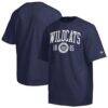 Arizona Wildcats Champion Established Tradition Heavyweight T-Shirt - Navy - Front View