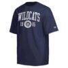 Arizona Wildcats Champion Established Tradition Heavyweight T-Shirt - Navy - Side View