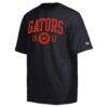 Florida Gators Champion Established Tradition Heavyweight T-Shirt - Black - Side View