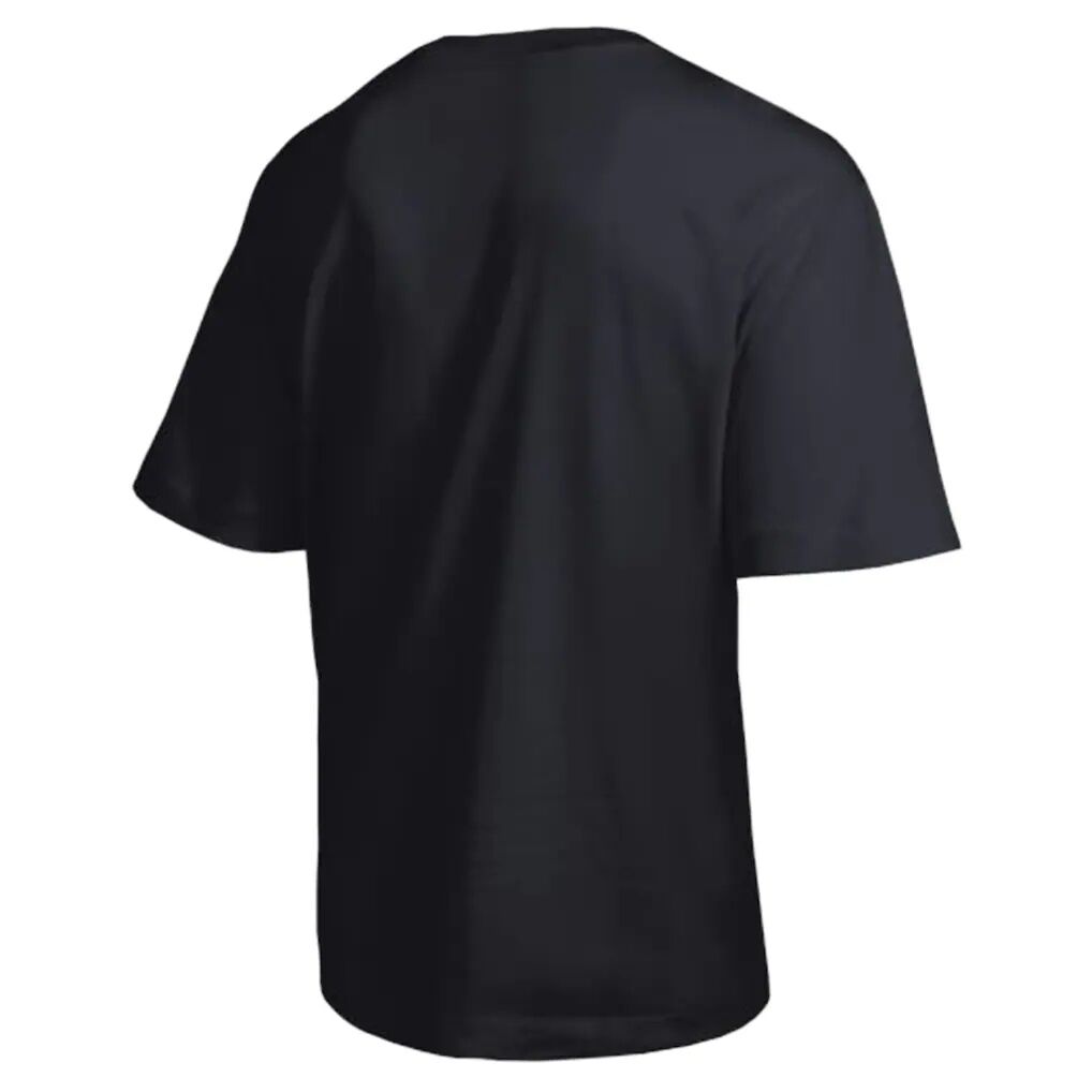 Iowa Hawkeyes Champion Established Tradition Heavyweight T-Shirt