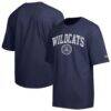 Arizona Wildcats Champion Scholar All-Star T-Shirt - Navy - Front View