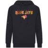 Toronto Blue Jays Levelwear Fiesta Text Connect Raglan Hoodie - Black - Side View