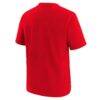 St. Louis Cardinals Nike Youth Hometown Collection T-Shirt - Red - Detail View