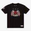 Chicago Bulls Mitchell & Ness Allegiance T-Shirt - Black - Front View