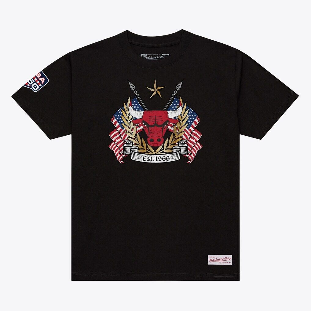Chicago Bulls Mitchell & Ness Allegiance T-Shirt