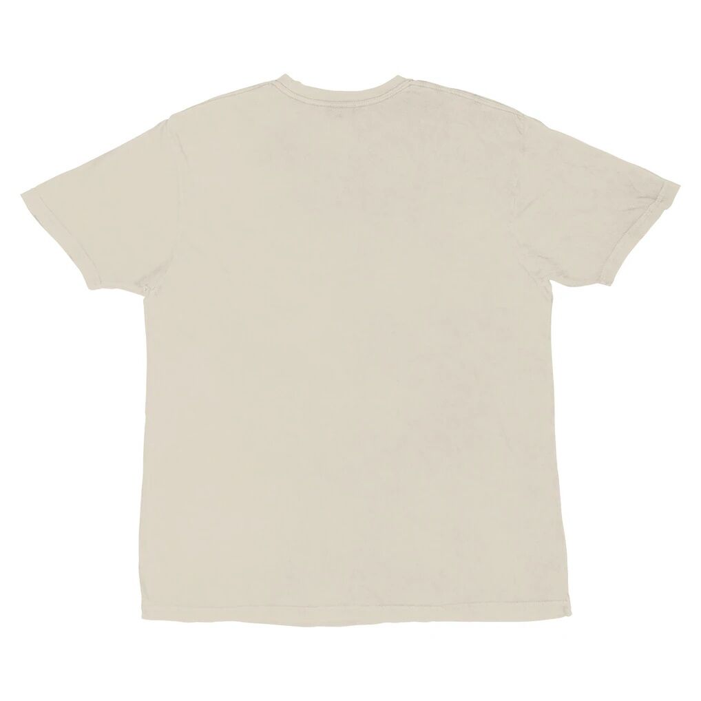 Detroit Pistons Stadium Essentials Unisex Cocoon Vintage T-Shirt - Tan