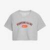 Illinois Fighting Illini Nike Women's Dri-FIT Cropped T-Shirt - - Front View