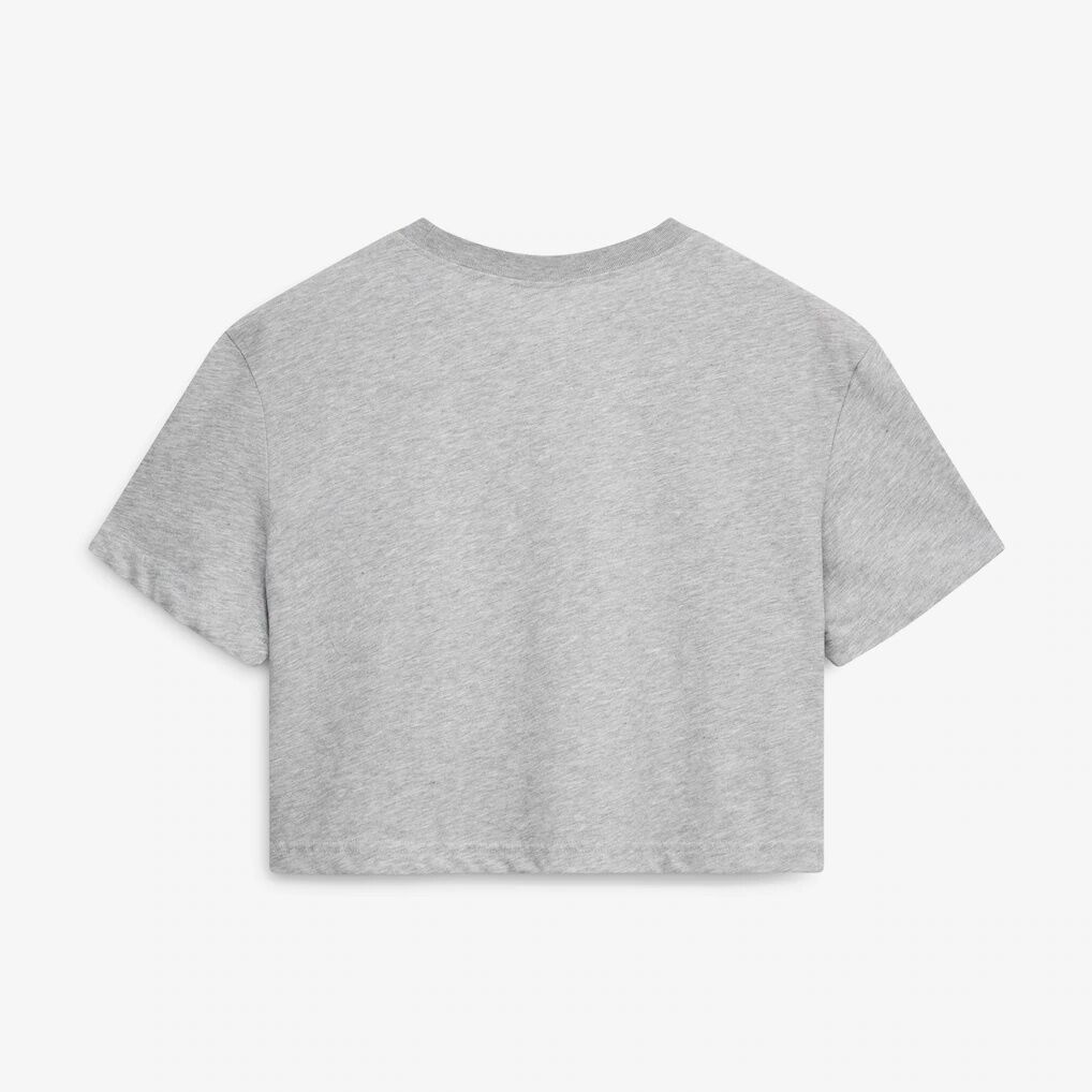 Illinois Fighting Illini Nike Women's Dri-FIT Cropped T-Shirt - Heather Gray