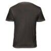 Brighton and Hove Albion 1863FC Soft Wash T-Shirt - Gray - Detail View
