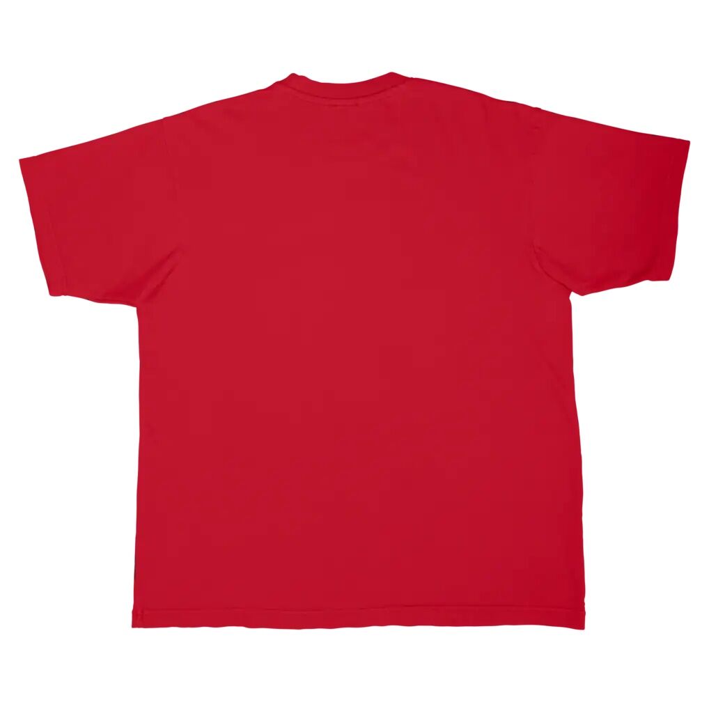 Detroit Pistons Stadium Essentials Unisex Hideout Boxy T-Shirt