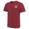 Arkansas Razorbacks Image One Women's Comfort Colors Softball Bow T-Shirt - - Side View
