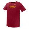 Iowa State Cyclones Nike Preschool Name Bar Legend Dri-FIT T-Shirt - - Side View