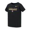 Florida State Seminoles Nike Toddler Name Bar Legend Dri-FIT T-Shirt - Black - Front View