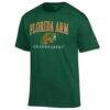 Florida A&M Rattlers Champion Grandparent Arch Logo T-Shirt - Green - Side View
