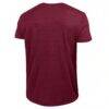 Eastern Kentucky Colonels Champion Established Date Ultimate Tri-Blend T-Shirt - - Side View