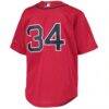 David Ortiz Boston Red Sox Mitchell & Ness Youth Cooperstown Collection Batting Practice Jersey - Red - Detail View