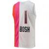 Chris Bosh Miami Heat Mitchell & Ness 2011/12 Hardwood Classics Swingman Jersey - White - Detail View