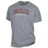 Iona University Gaels ComfortWash Garment Dyed T-Shirt - Gray - Side View