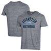 Assumption Greyhounds Champion Ultimate Tri-Blend T-Shirt - - Front View