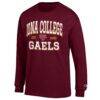 Iona University Gaels Champion Jersey Long Sleeve T-Shirt - - Side View