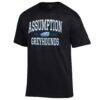 Assumption Greyhounds Champion Est. Date Jersey T-Shirt - Black - Side View