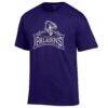 Furman Paladins Champion Primary Jersey T-Shirt - Purple - Side View