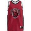 Central Washington Wildcats GameDay Greats Lightweight Basketball Jersey - Crimson - Side View