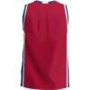 Detroit Mercy Titans GameDay Greats Lightweight Basketball Jersey - Blue - Detail View