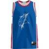 Elizabeth City State University Vikings GameDay Greats Lightweight Basketball Jersey - - Side View