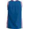 Fairleigh Dickinson Knights GameDay Greats Lightweight Basketball Jersey - Blue - Detail View