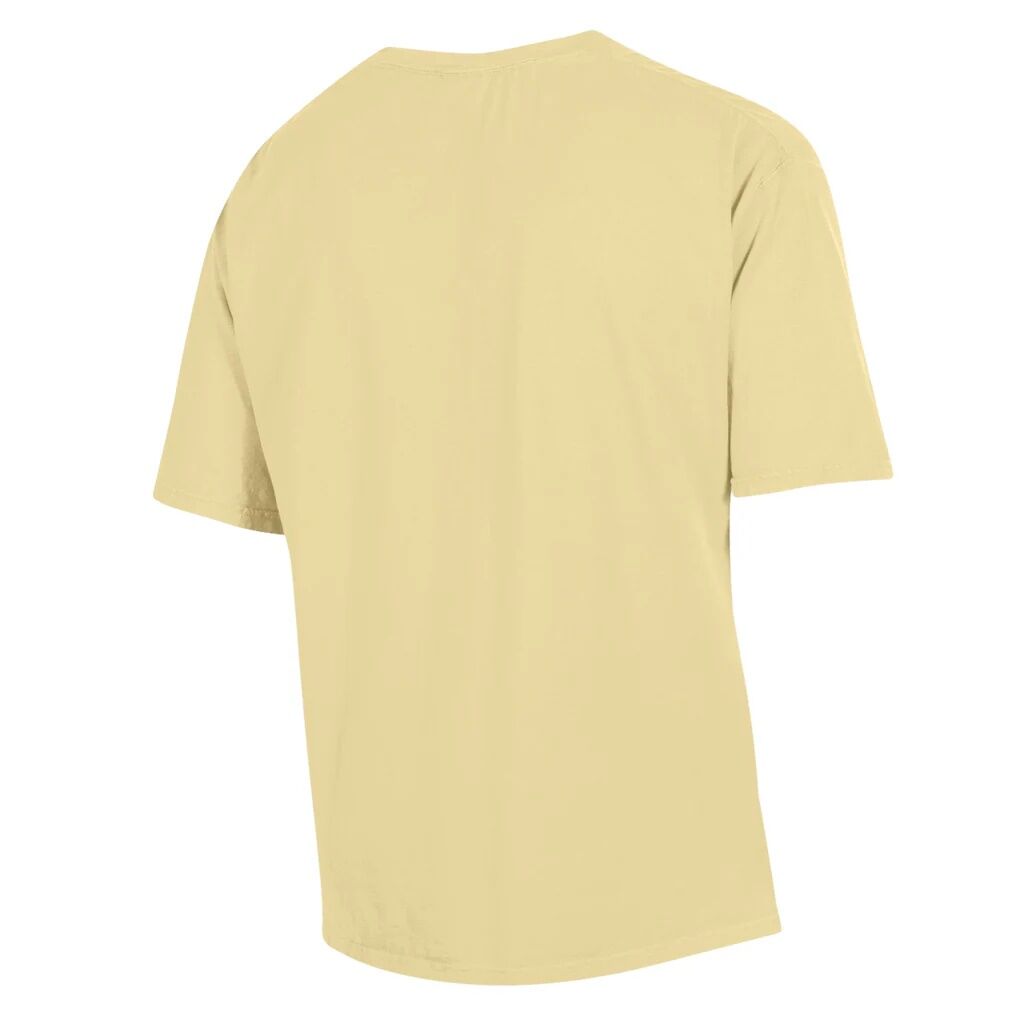 Colorado Anschutz Medical Campus ComfortWash Garment Washed T-Shirt