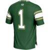 #1 Colorado State Rams GameDay Greats Endzone Football Jersey - Green - Detail View