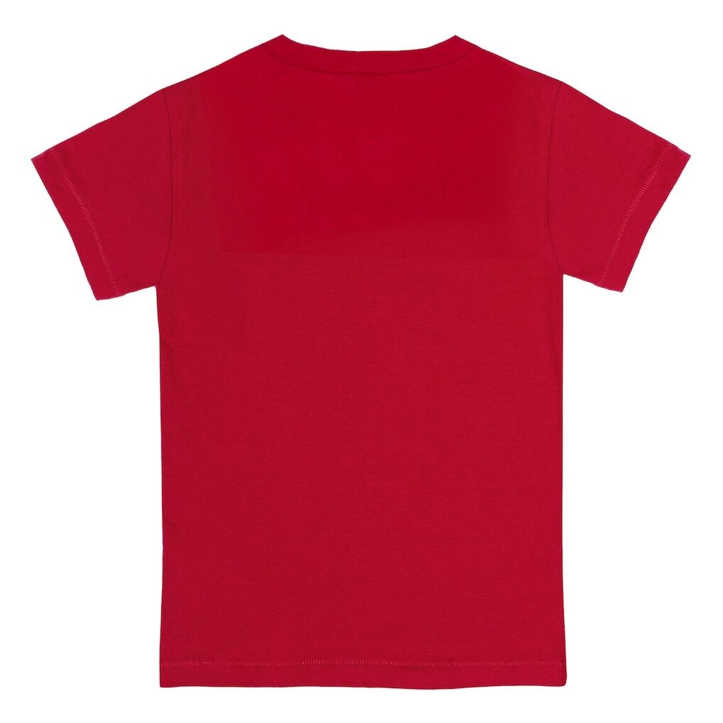 Boston Red Sox Tiny Turnip Youth Triple Scoop T-Shirt