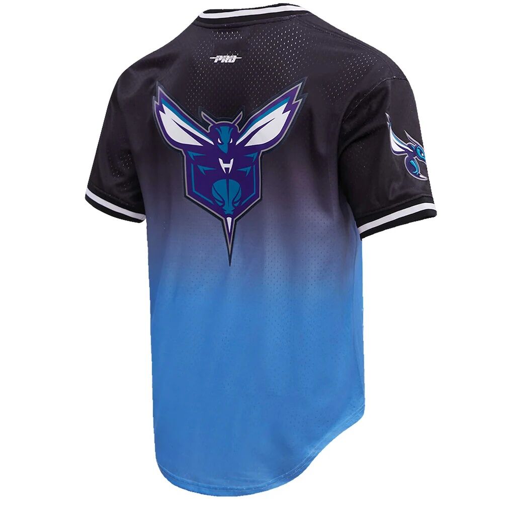 LaMelo Ball Charlotte Hornets Post Ombre Name & Number T-Shirt – Navy/Blue