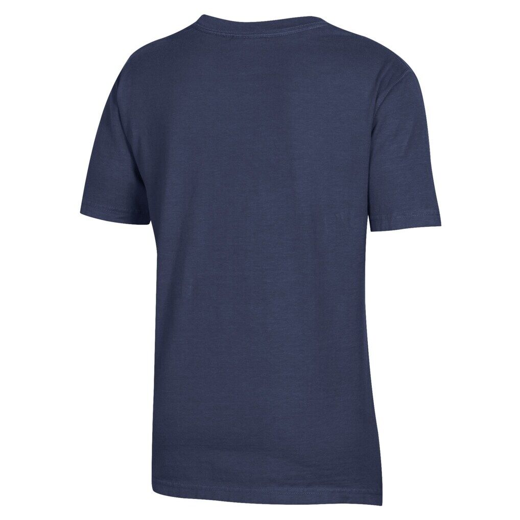 SUNY Fashion Institute of Technology Tigers Youth Logo Comfort Wash T-Shirt - Heather Navy