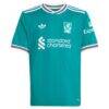 Virgil van Dijk Liverpool adidas Youth 2025/26 Third Replica Player Jersey - Green - Side View