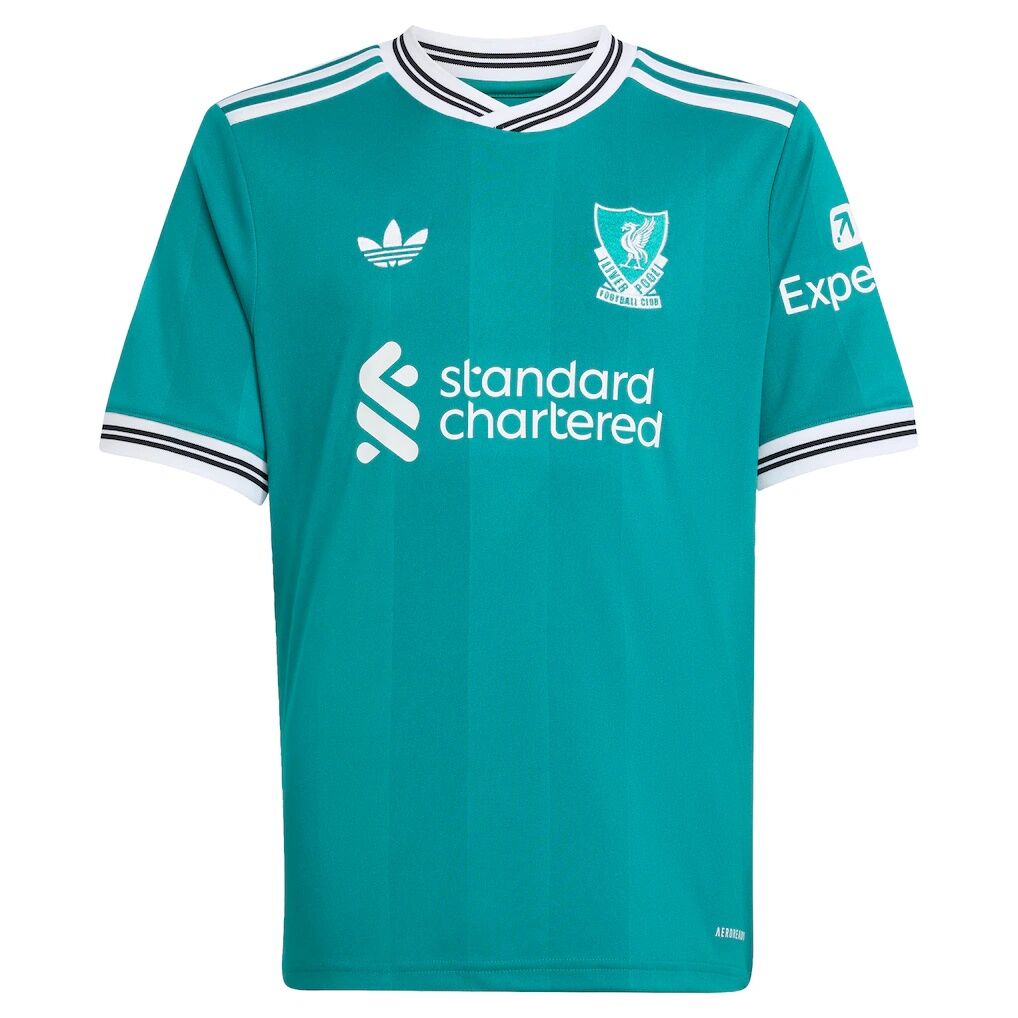 Virgil van Dijk Liverpool adidas Youth 2025/26 Third Replica Player Jersey