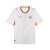 Iceland National Team Puma 2026 Away Replica Jersey - White - Alt1