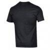 Northeastern Huskies Champion Dad Pill Box Jersey T-Shirt - Black - Detail View