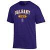 UAlbany Great Danes Champion Dad Pill Box Jersey T-Shirt - Purple - Side View
