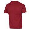 Oberlin Yeomen Champion Arch Dad Jersey T-Shirt - Cardinal - Detail View