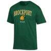 SUNY Brockport Golden Eagles Champion Arch Dad Jersey T-Shirt - Green - Side View