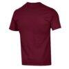 Washington College Shoremen Champion Arch Dad Jersey T-Shirt - Maroon - Detail View