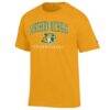 Northern Michigan Wildcats Champion Unisex Arch Grandparent Jersey T-Shirt - Gold - Side View