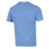 RWU Hawks Champion Unisex Arch Grandparent Jersey T-Shirt - Light Blue - Detail View