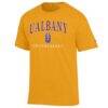 UAlbany Great Danes Champion Unisex Arch Grandparent Jersey T-Shirt - Yellow - Side View