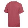 Northeastern Huskies ComfortWash T-Shirt - Red - Detail View