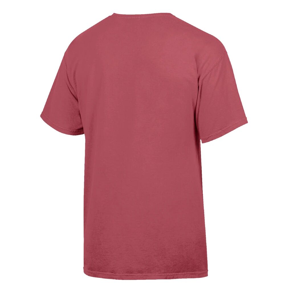 Northeastern Huskies ComfortWash T-Shirt