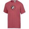 Northeastern Huskies ComfortWash T-Shirt - Red - Side View