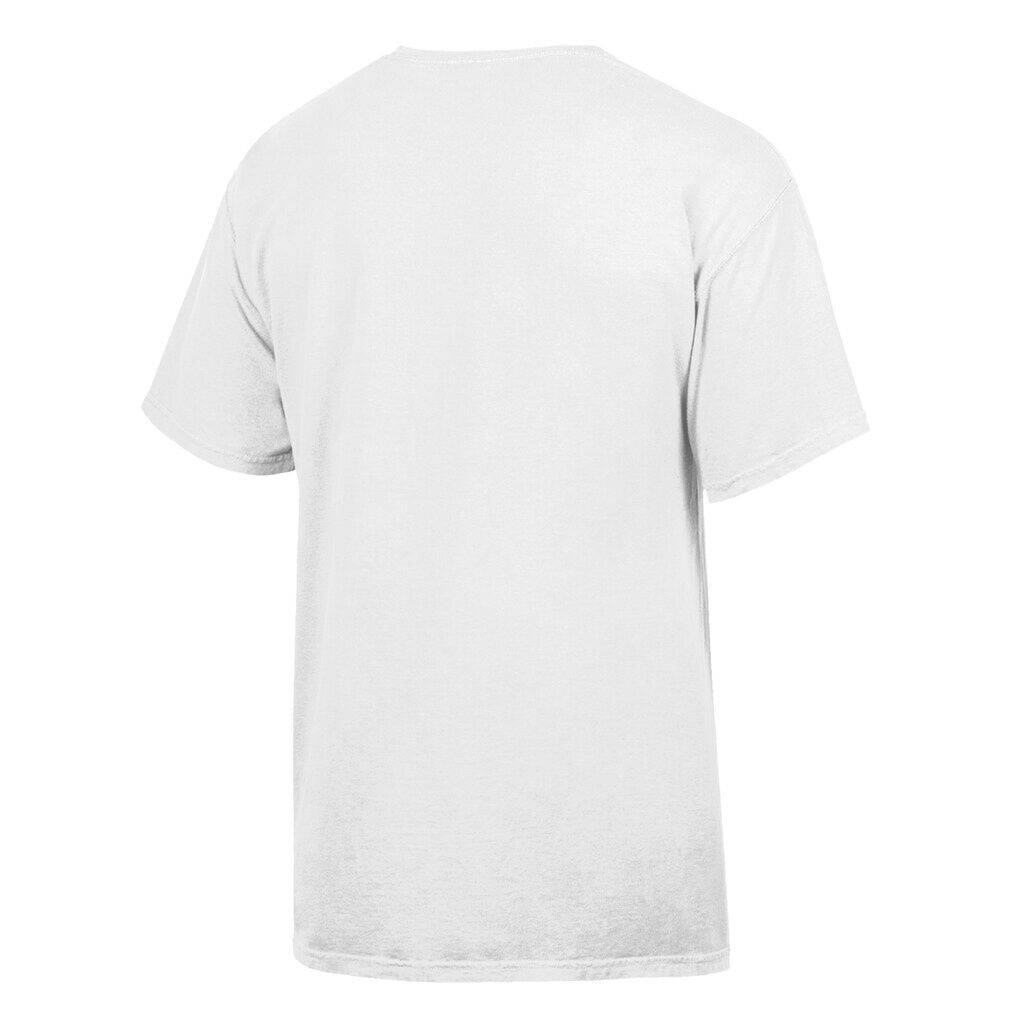 UAlbany Great Danes ComfortWash T-Shirt